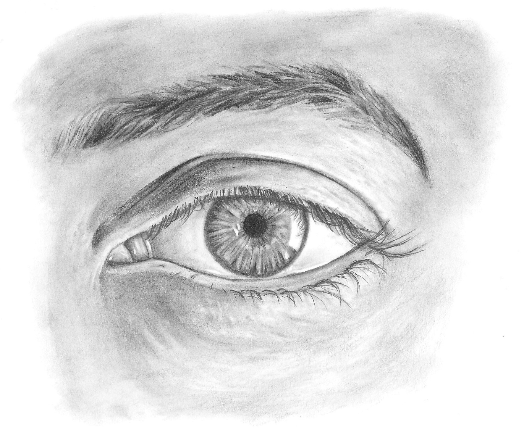 How to Draw an Eye Let's Draw Today Club