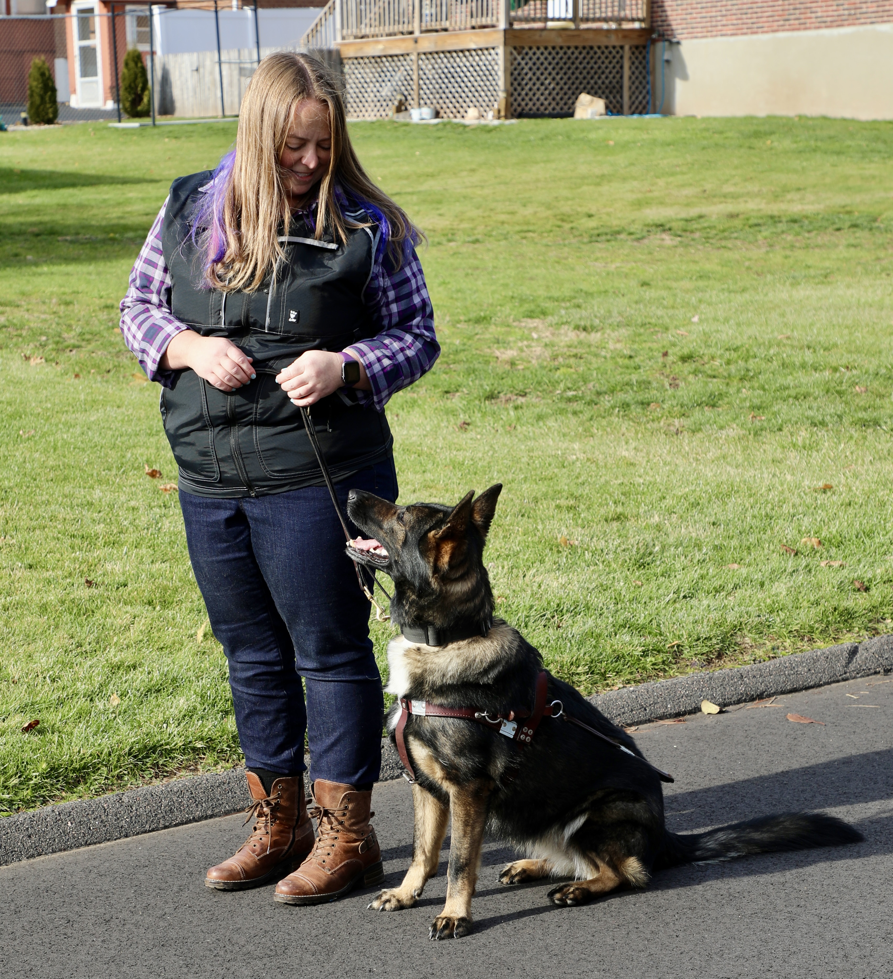 Blonde and purple haired woman in jeans and black training vest looks down at sable german shepherd wearing a guide harness