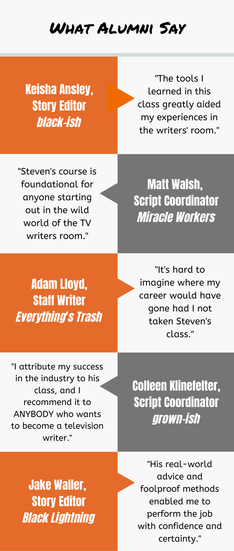 Testimonials from television writers.