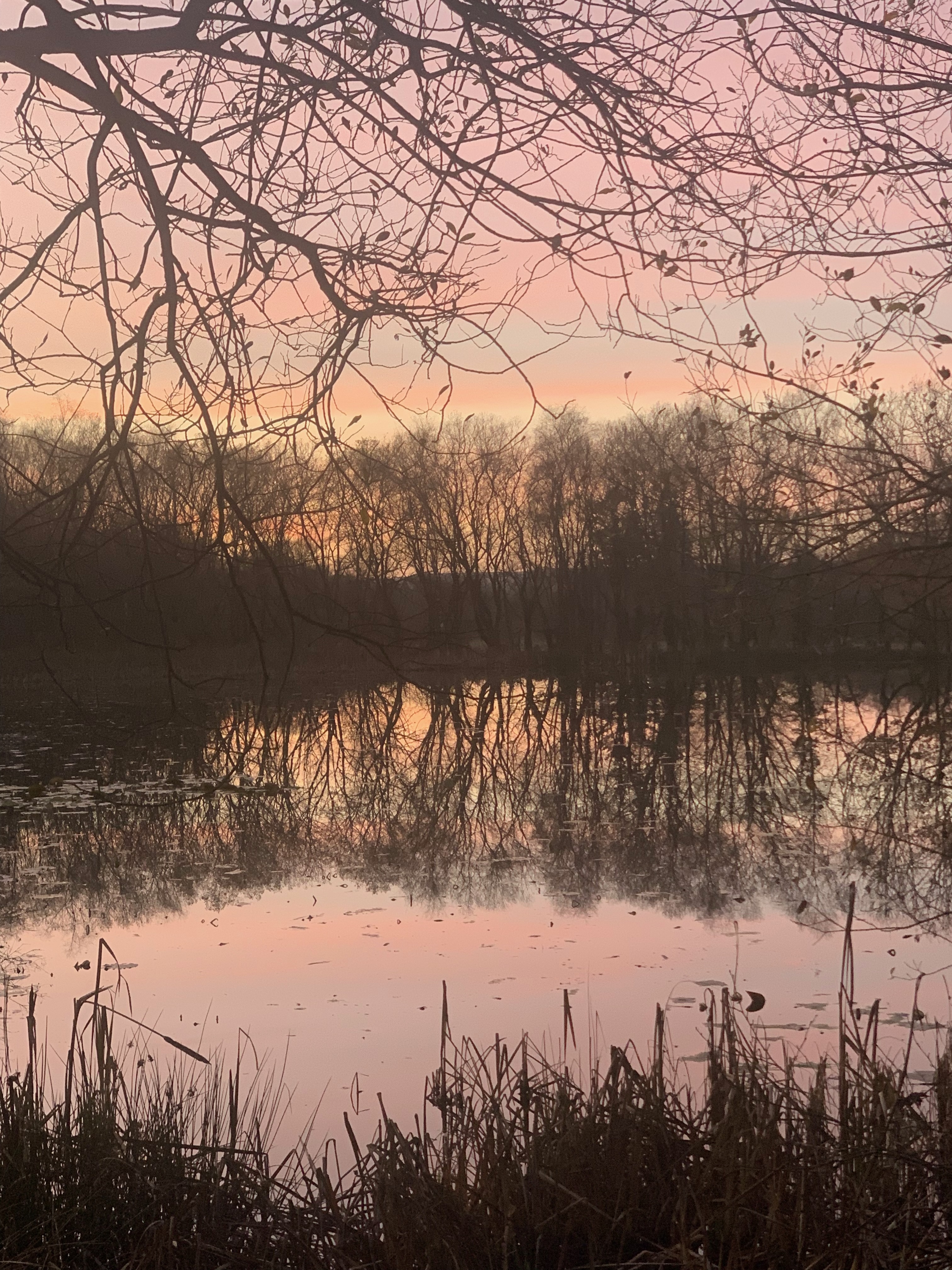 A Picture of a lake at sunset with reflection