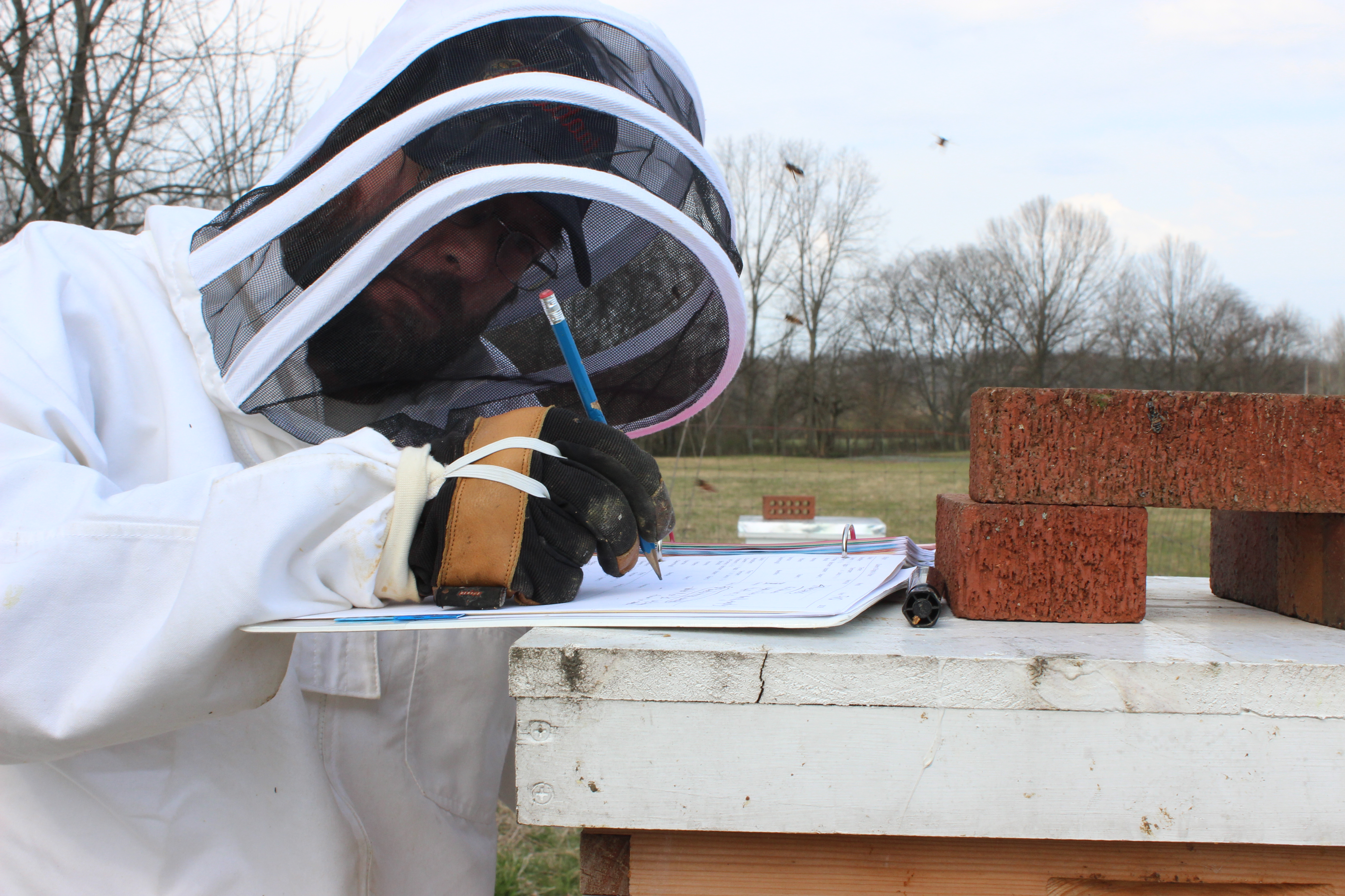 Beginning Beekeeper's Mentorship Bundle, New Beekeepers Lessons