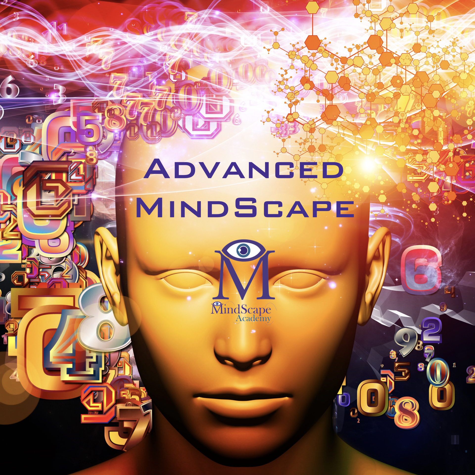 Advanced MindScape Seminars