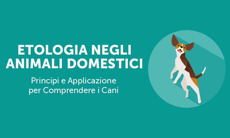 Corso-Online-Etologia-negli-Animali-Domestici-Principi-e-Applicazione-per-Comprendere-i-Cani-Life-Learning