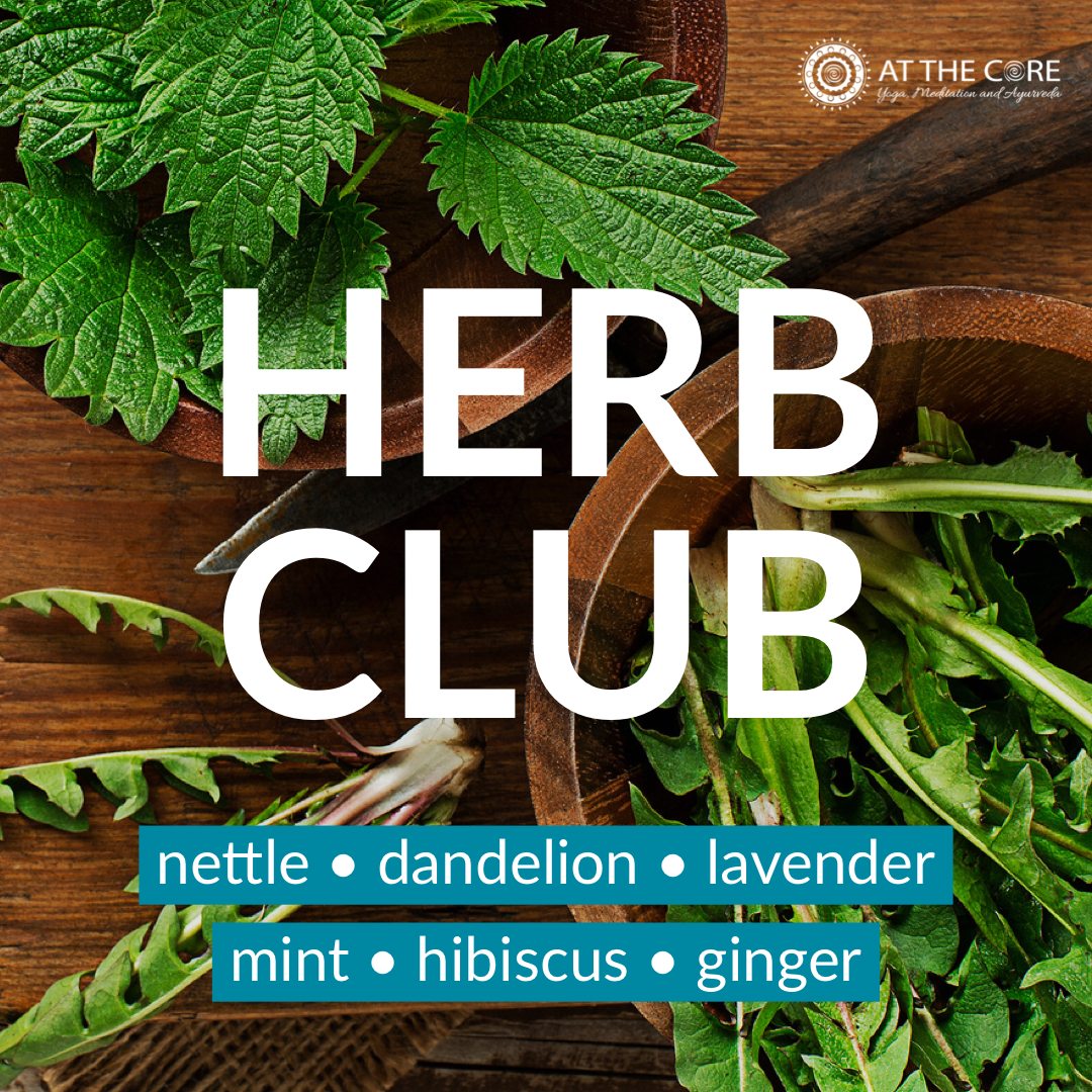 Ayurvedic Herb Club Nettle Dandelion Lavender Mint Hibiscus Ginger