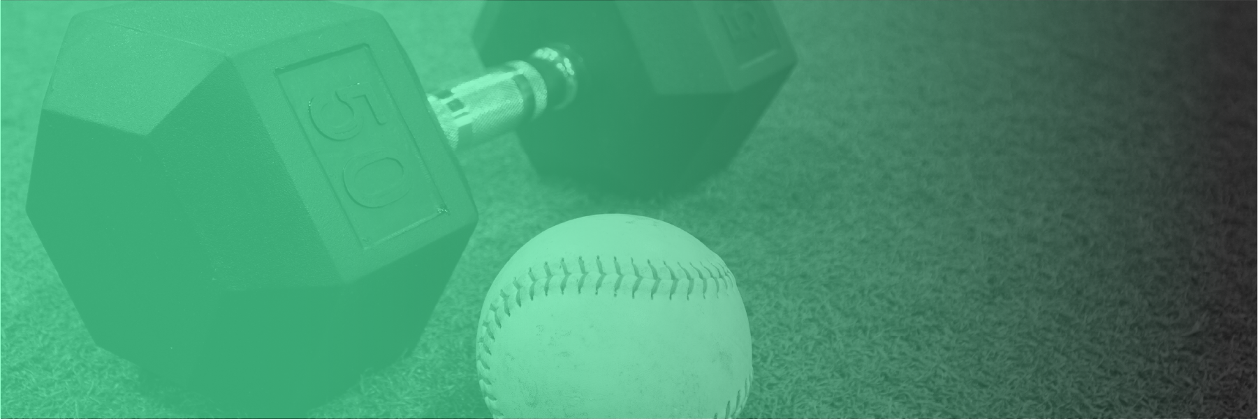 Online Strength Training for softball