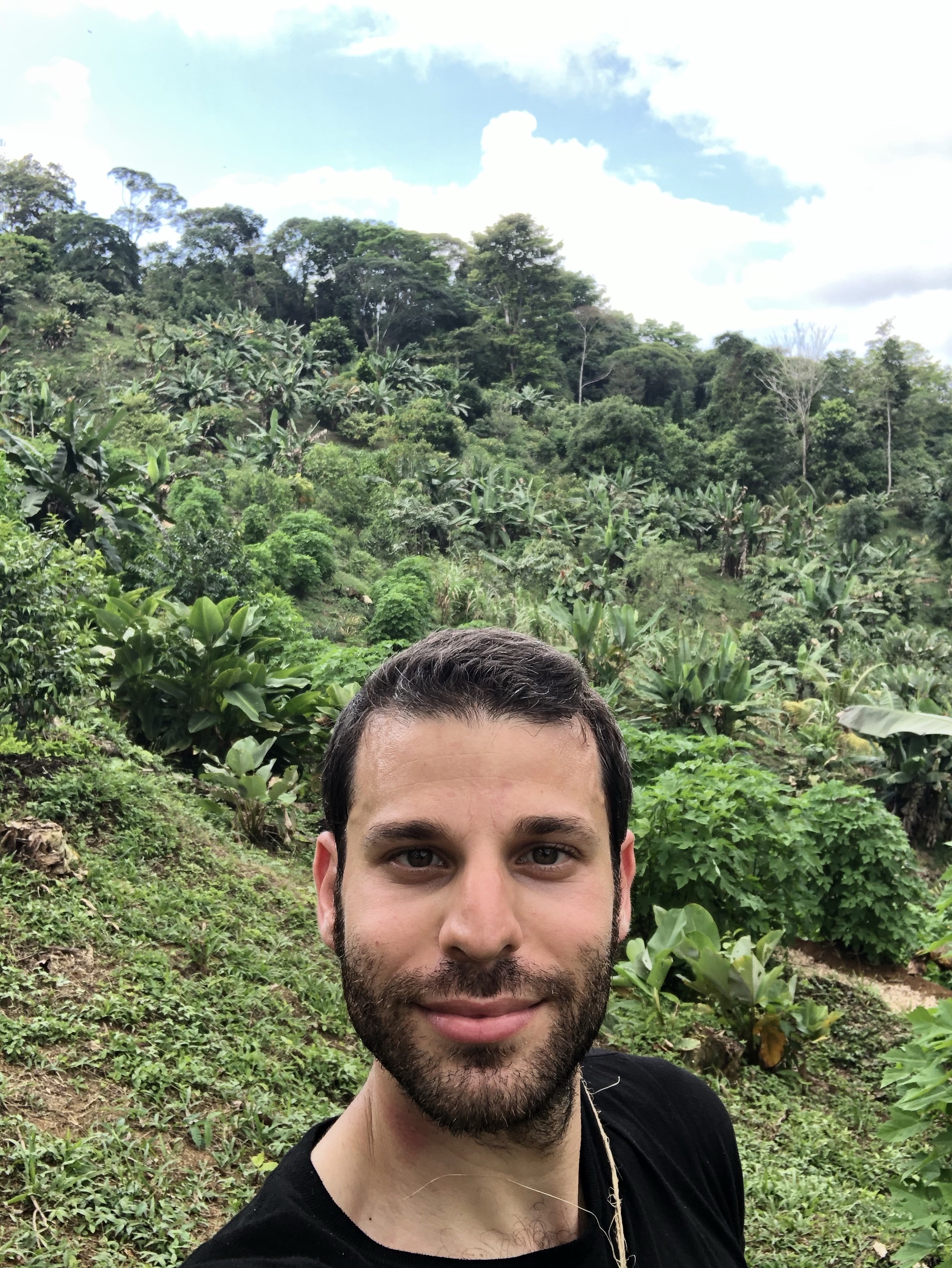 Food Forest on a Mountain