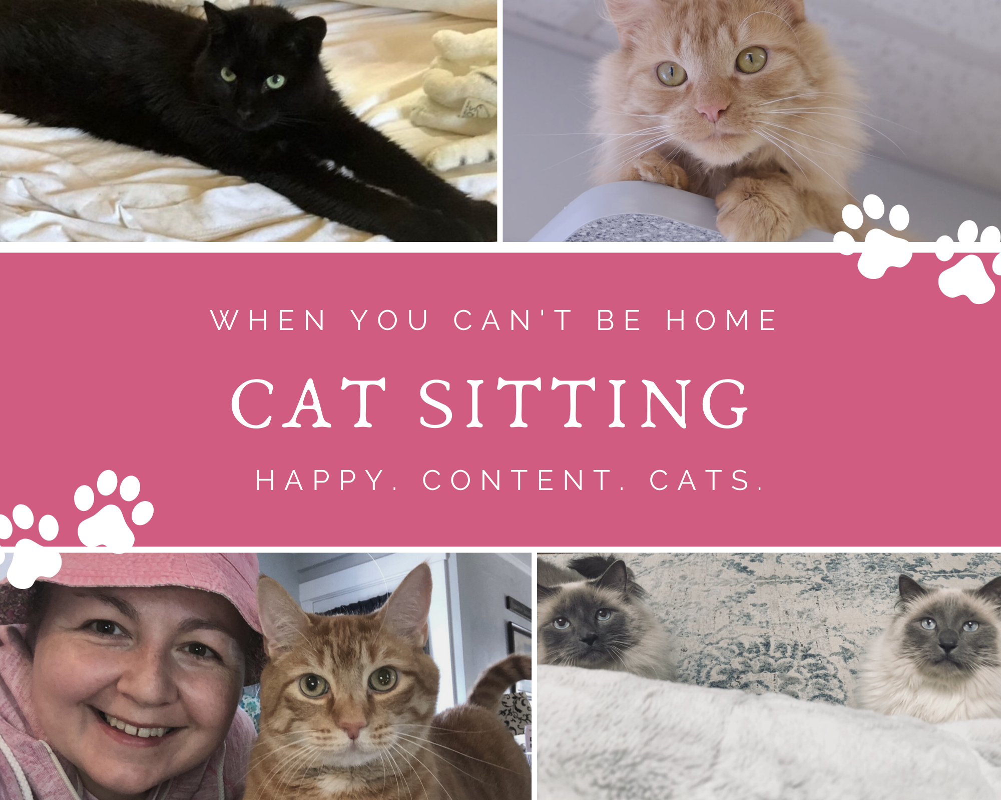 Cat Sitting Services 