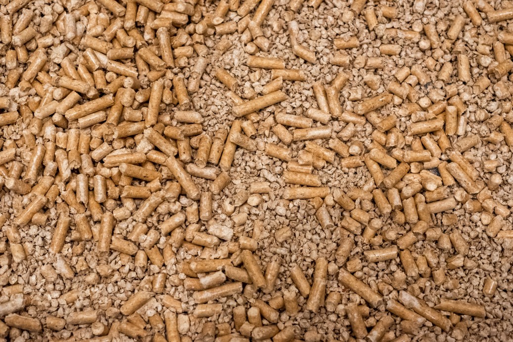 Avviare una produzione di pellet, cippato e bricchetti