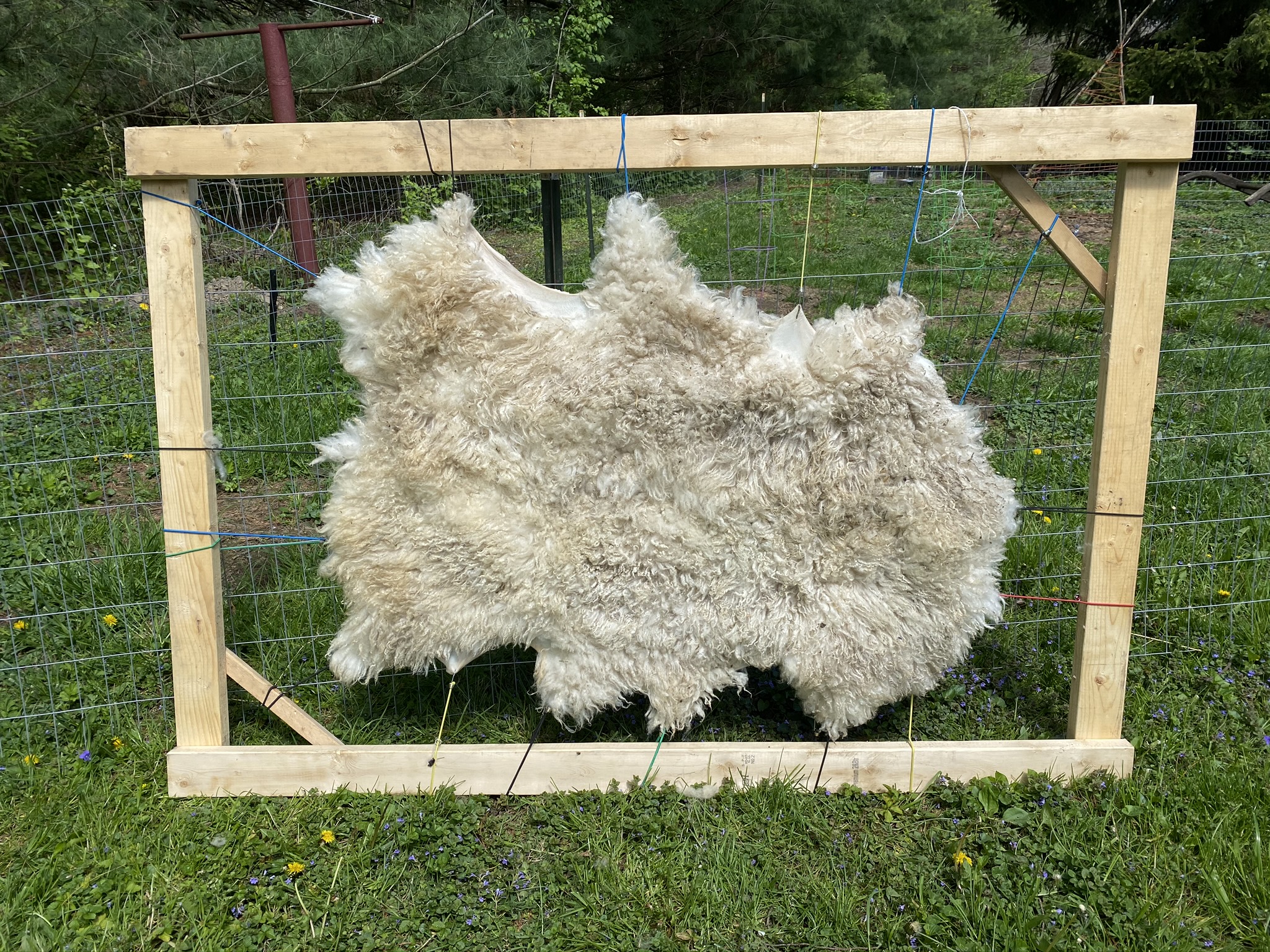 Finn Sheepskin 