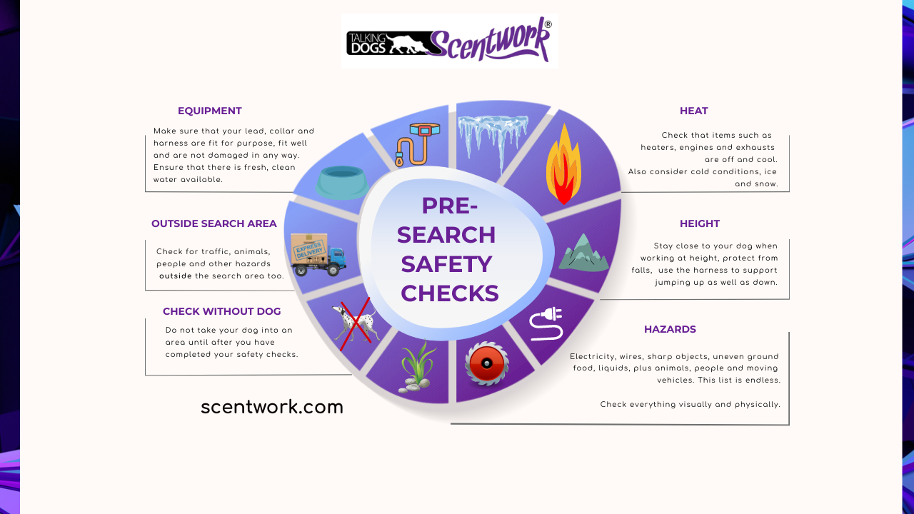 pre search safety check infographic