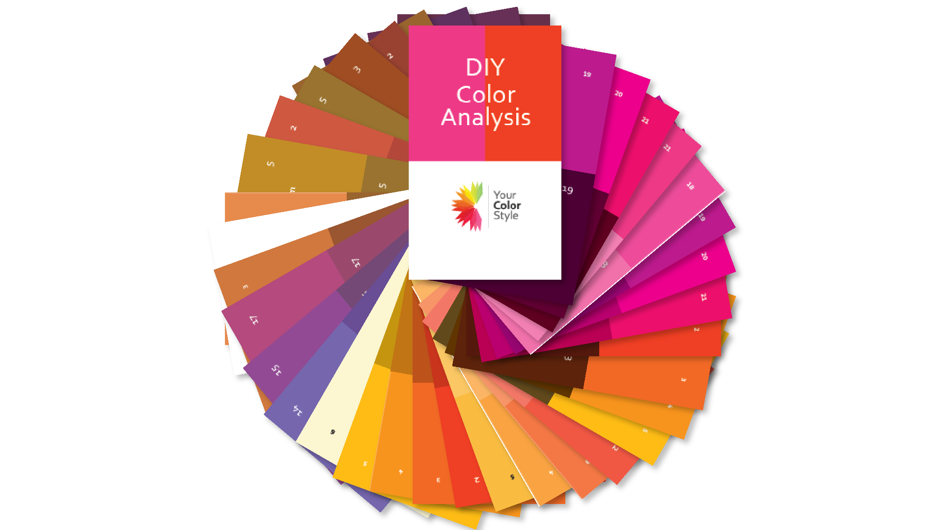 Colour Chart From The Wall Sticker Company