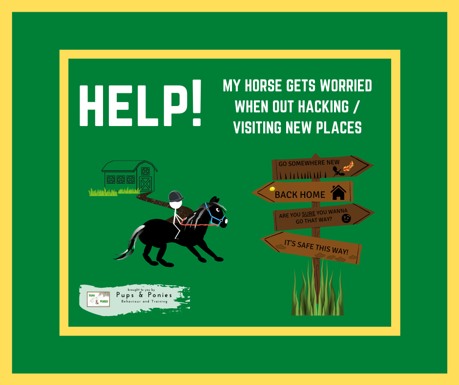 HELP! MY HORSE GETS WORRIED WHEN OUT HACKING / VISITING NEW PLACES!