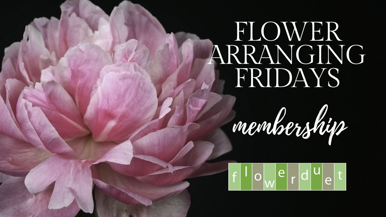 Pink Peony on Black background with text that says: Flower Arranging Fridays Membership Flower Duet