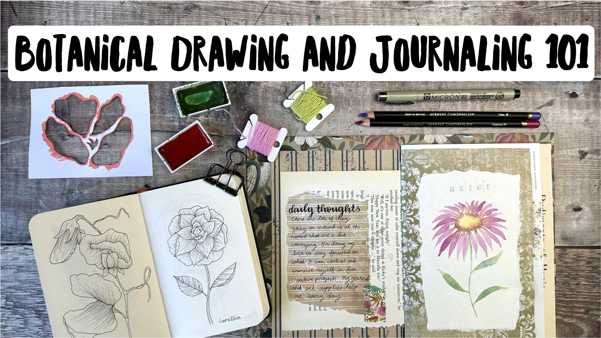 Botanical Drawing and Journaling