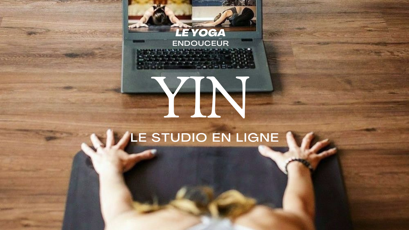 Yin Yoga pack cours live Santé féminine Novembre