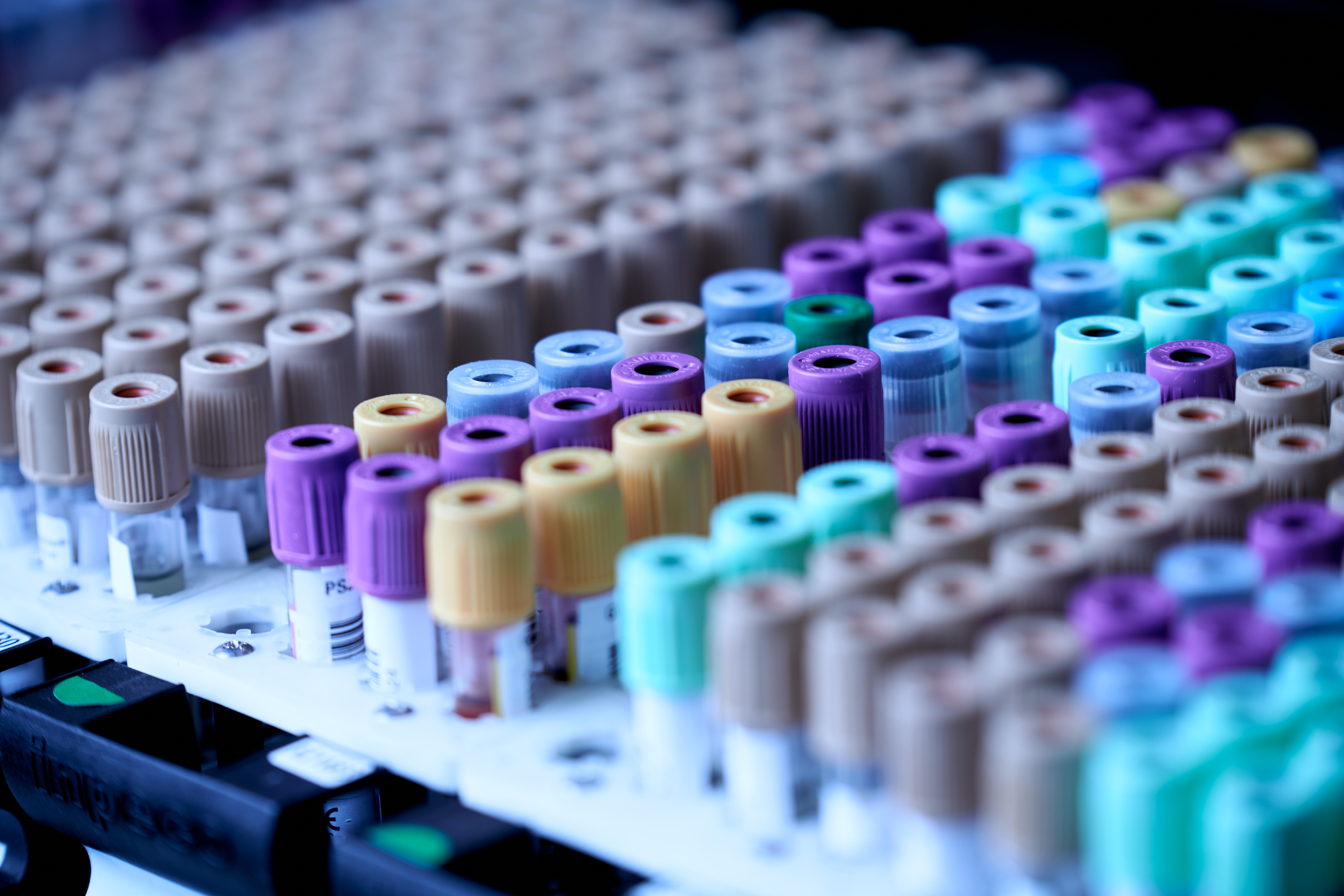 Image of various colored test tubes in a rack
