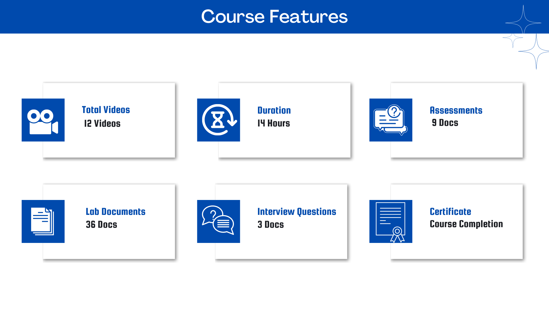 SAP S/4HANA Cash Management Course Features