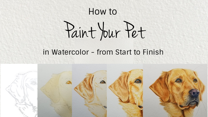 paint your pet in watercolor rebecca rhodes