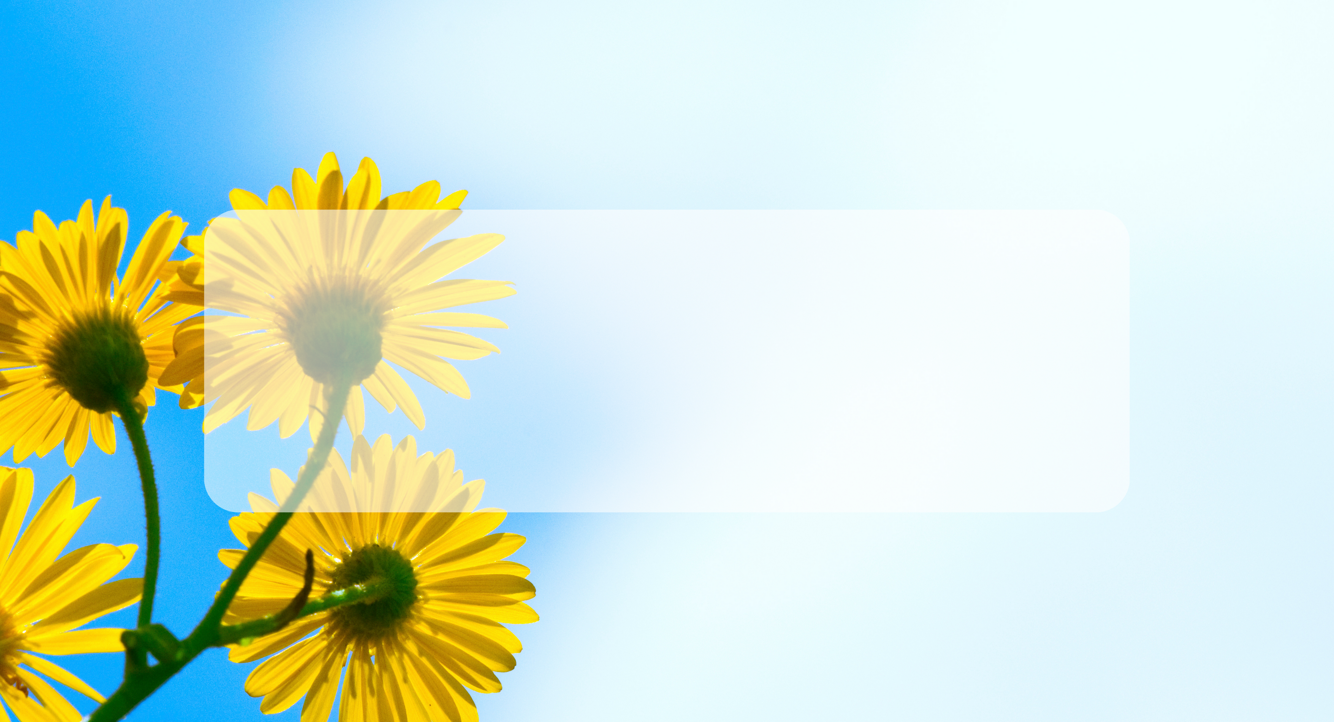 Hopeful Education course banner with sunflowers background