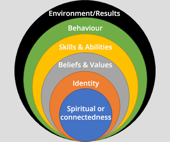 Neurological Levels