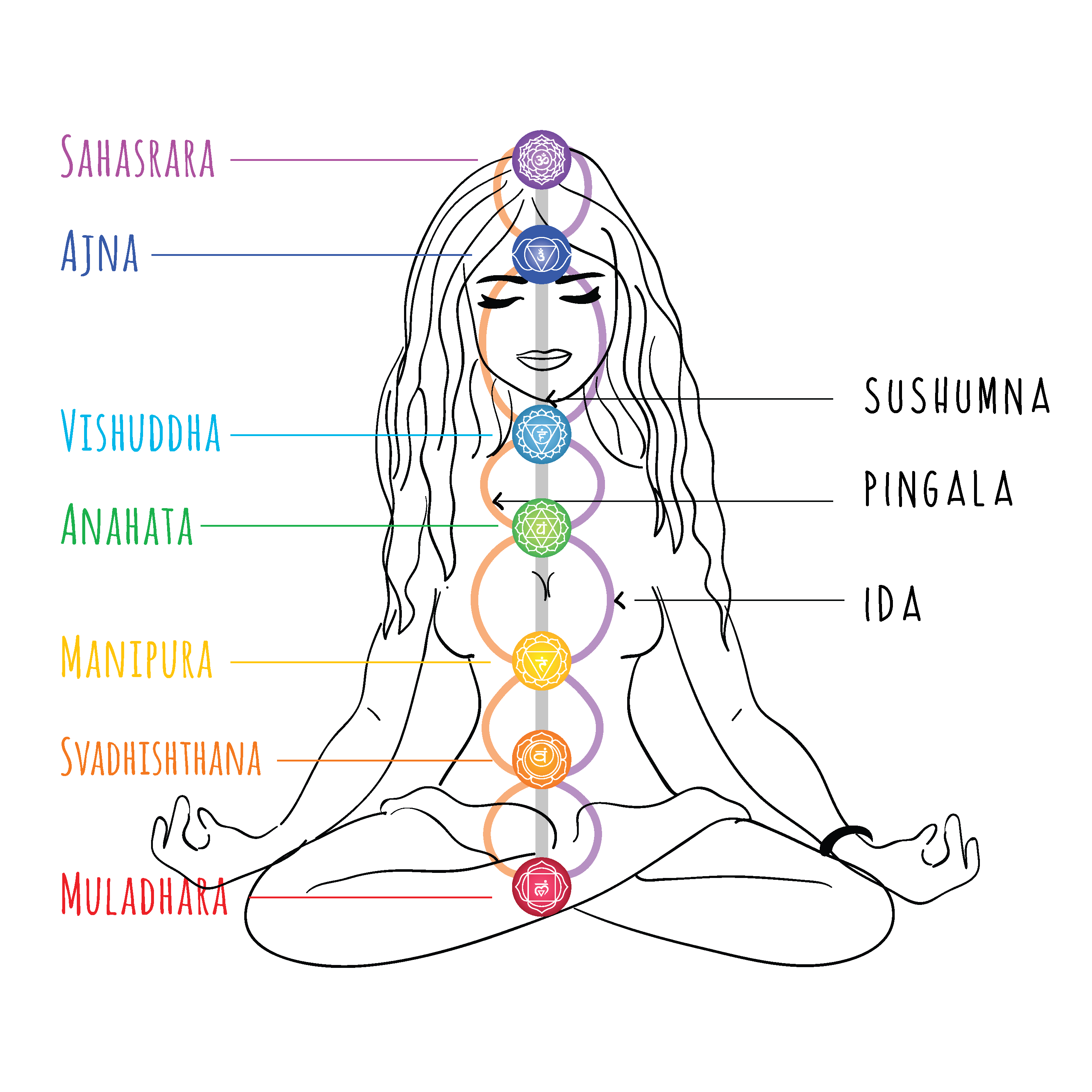 Learn about your chakra system 