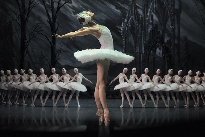 Learn Ballet Online  Learn Ballet Online