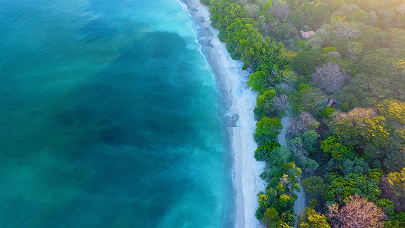 Aerial view of a Costa Rican beach