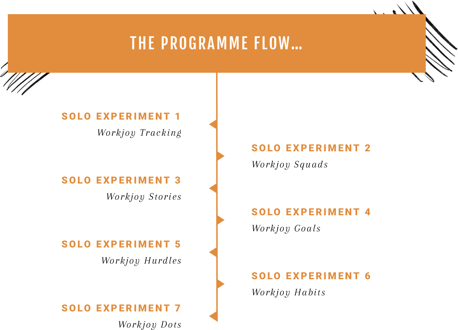 PROGRAMME FLOW