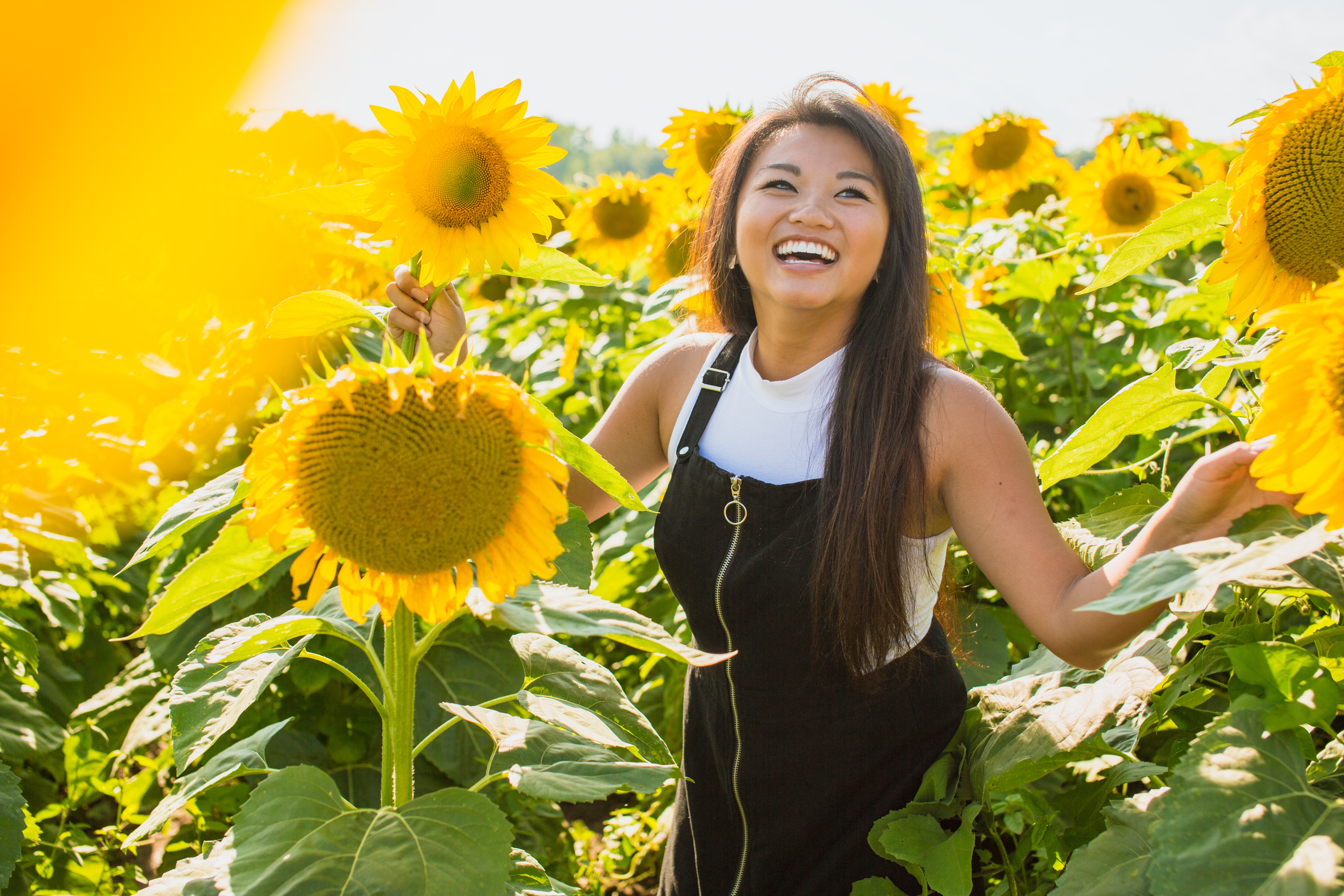Smiling Woman in a Field of Sunflowers