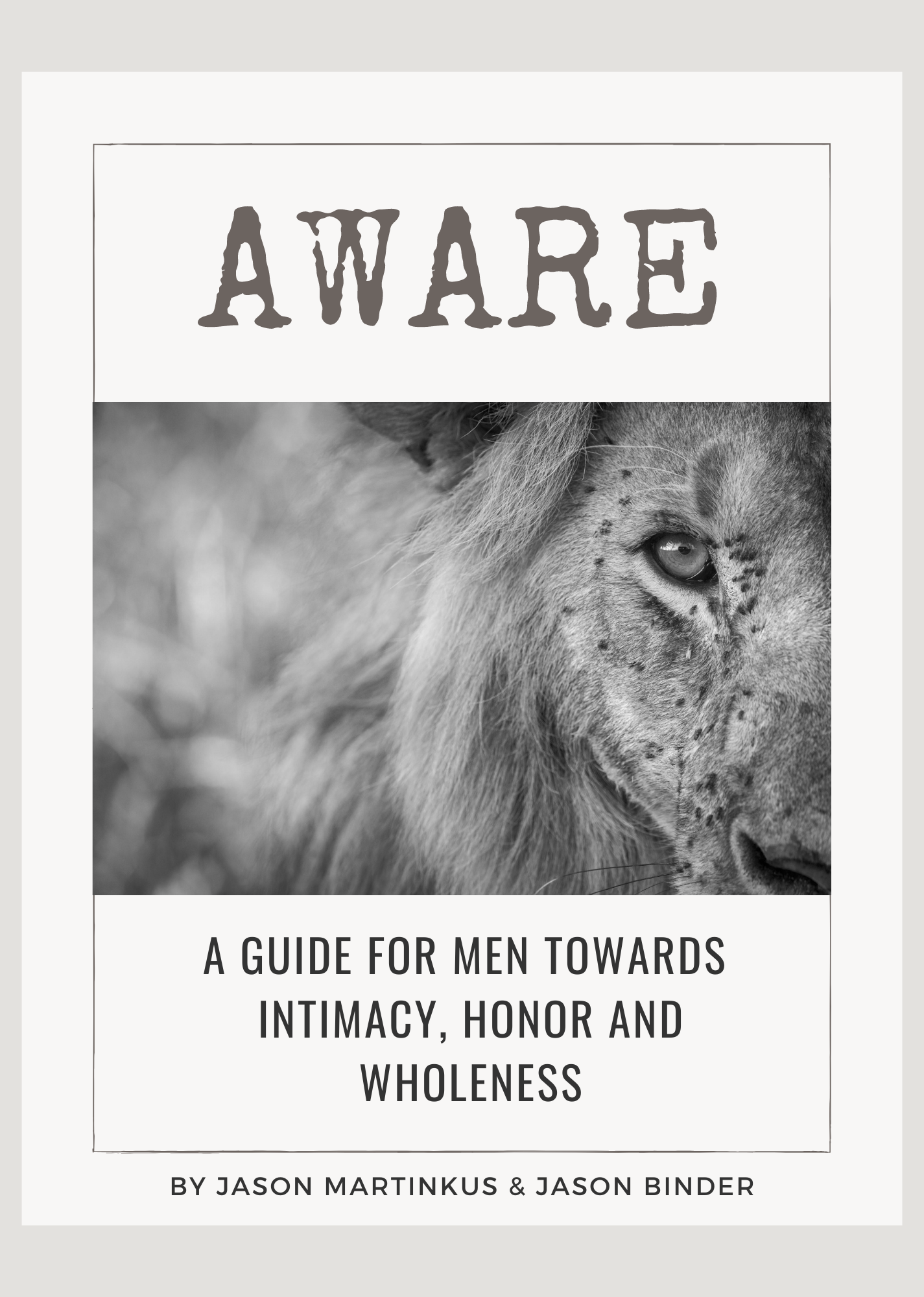 aware-rl-guide-aware