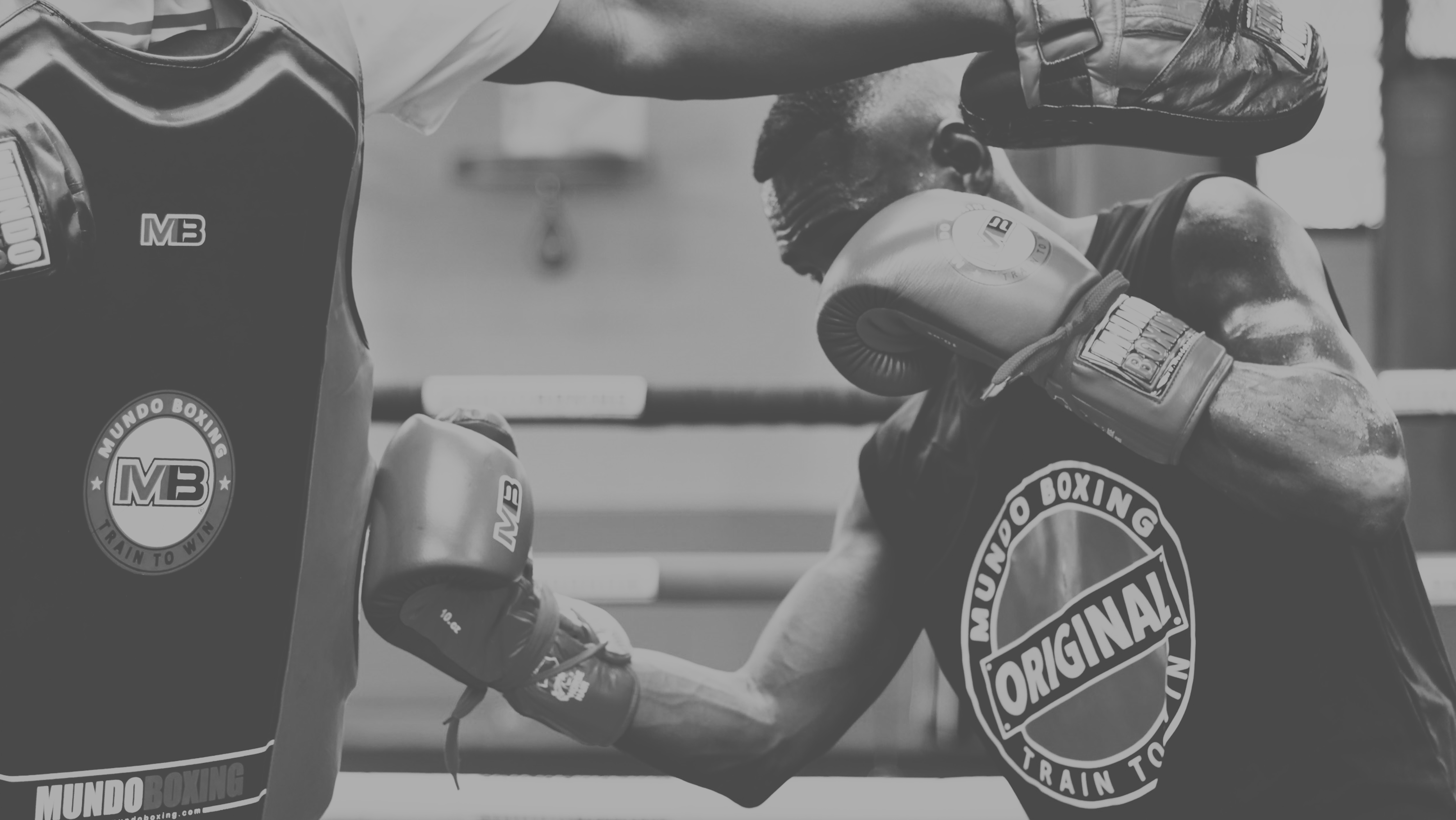 best online boxing training