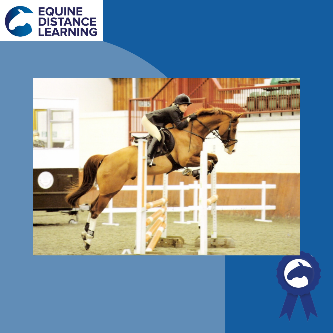 competition-psychology-equine-distance-learning