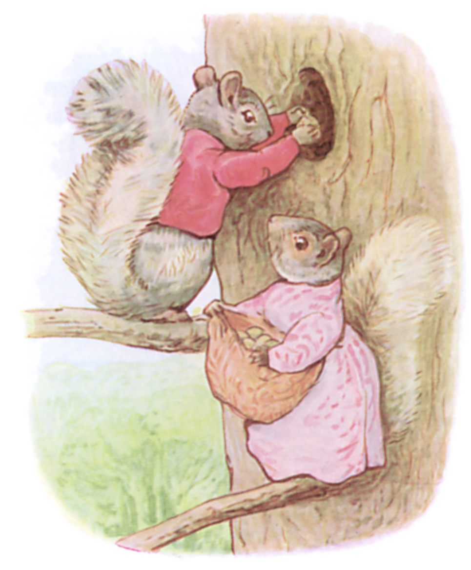 The Tale of Timmy Tiptoes
