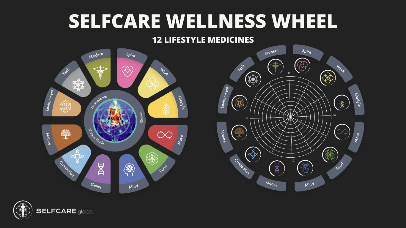 SelfCare Wellness Wheel & 12 Prescriptions for Lifestyle Medicines