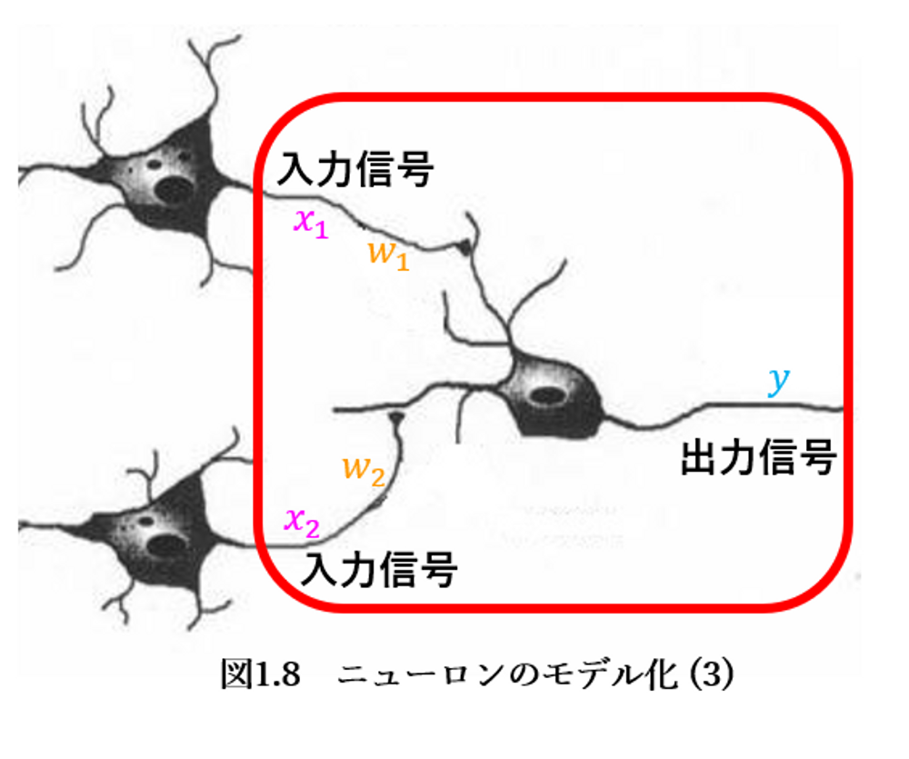 一つのニューロンの挙動をモデル化してみる|【Python】「脳内の一つの 
