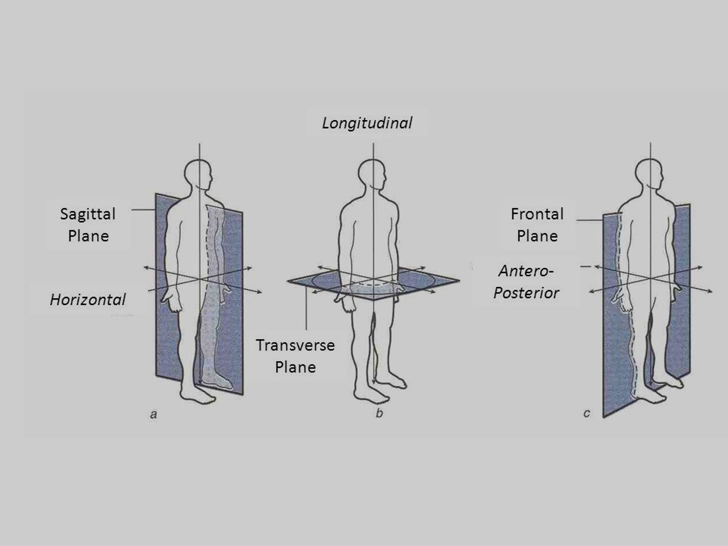 Tri Plane Movement Personal Learning