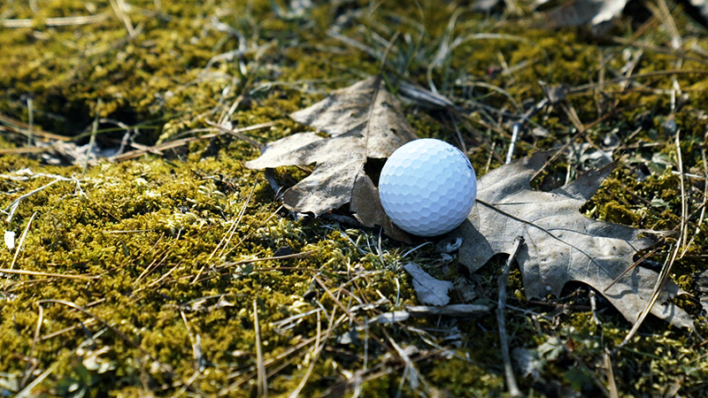 A golf ball: inspiration for haiku