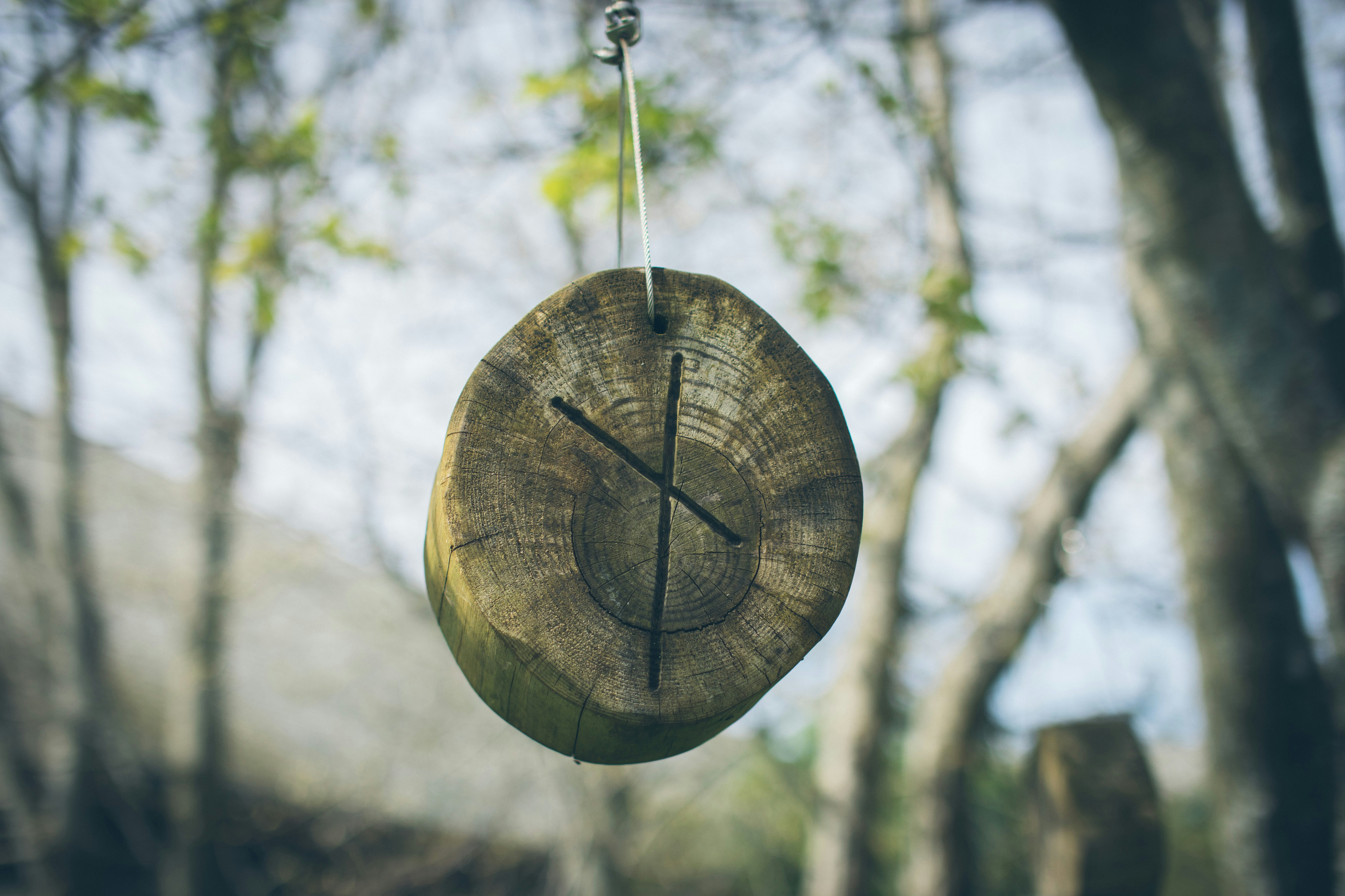 the nauthiz rune carved on a wooden disc and hung in the forest