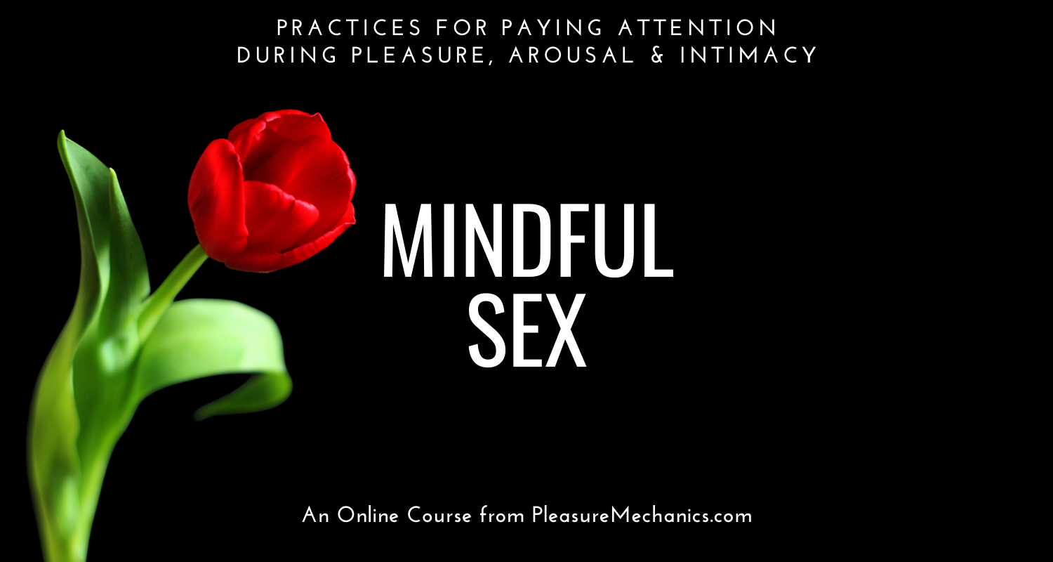 MindfulSex Course | Pleasure Mechanics