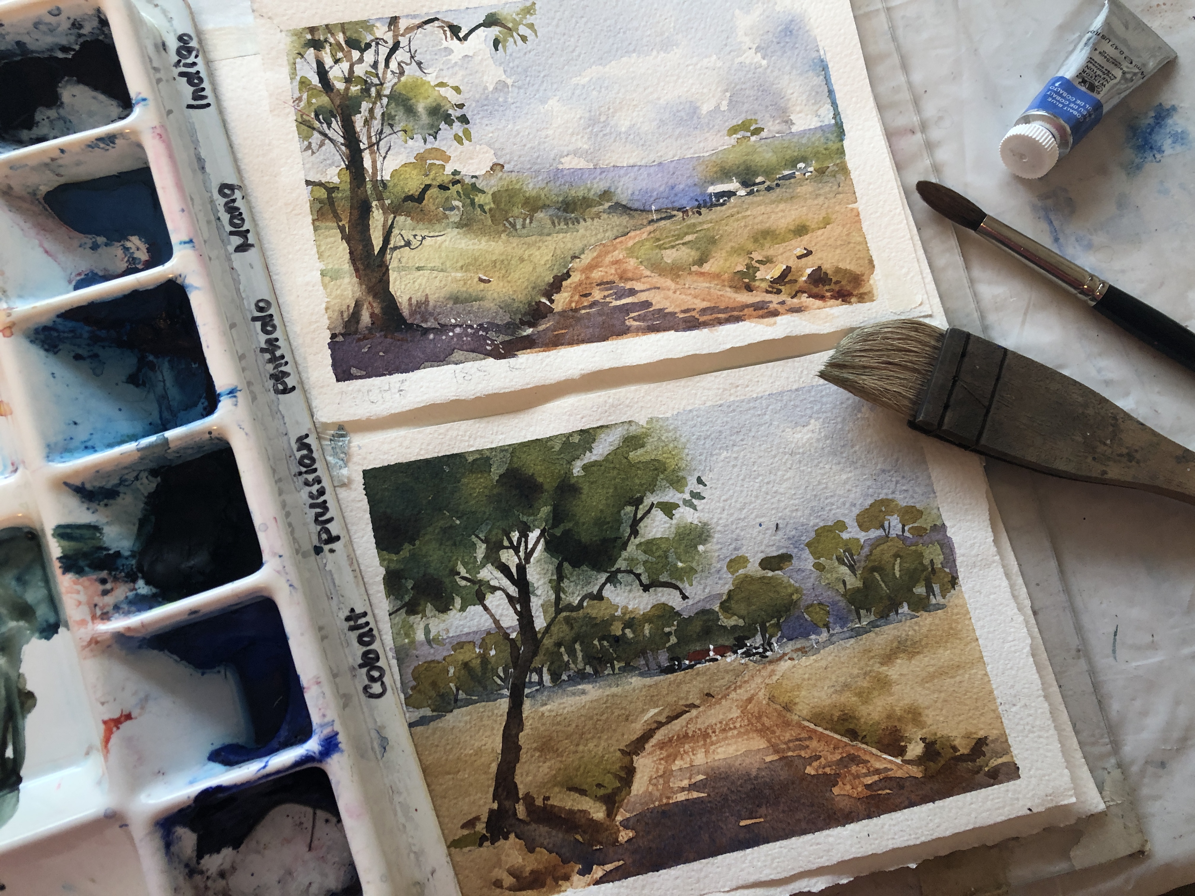 Online Watercolour course for Beginners with Jenny Gilchrist