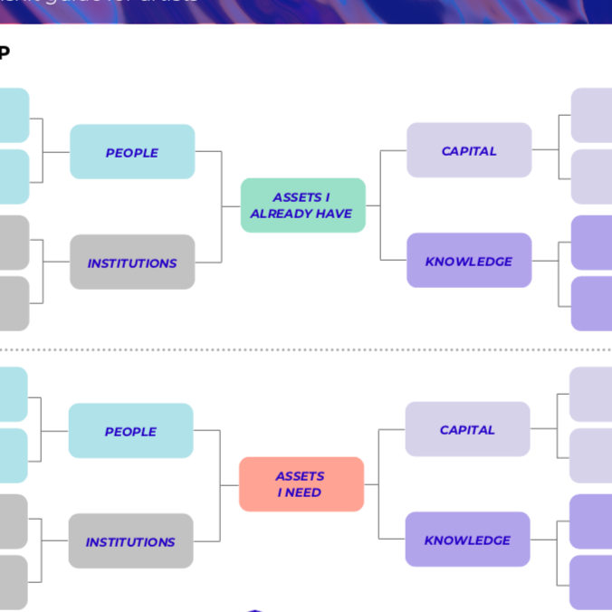 mapping your assets so you can better decide what business entity to be