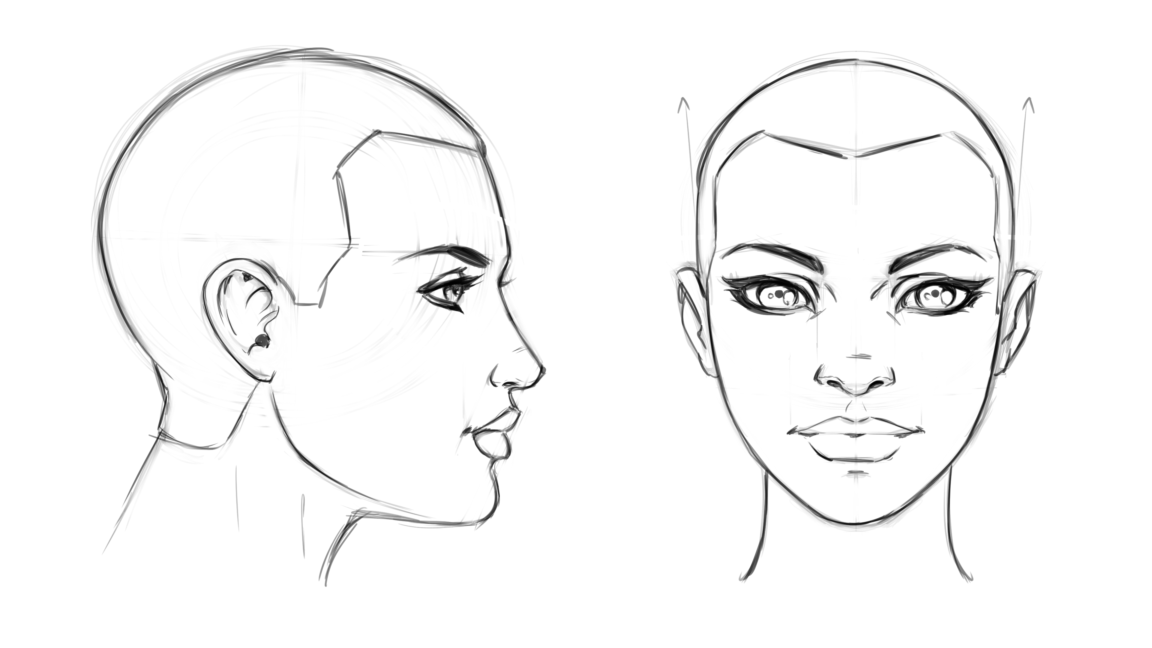 How to Draw Head Step by Step
