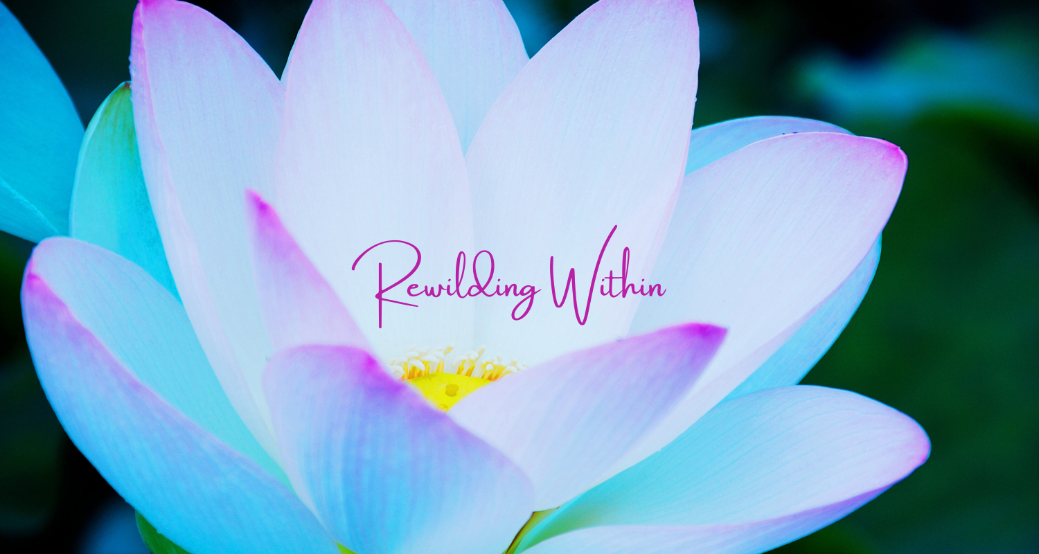 Rewilding Within Yoga & Meditation