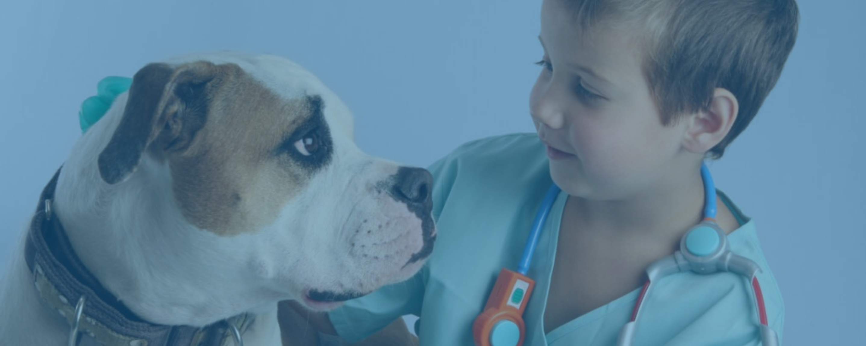 Part 1 | Bridging the Gap: A Panel Discussion on Human and Animal Health
