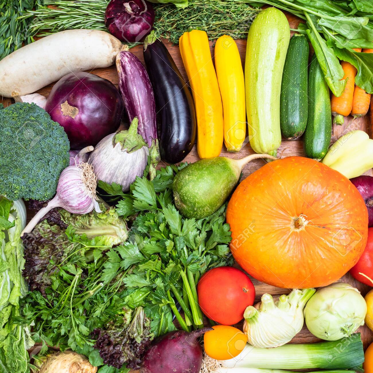 Colorful vegetables icluding pumpkin, squash, leeks, eggplant, carrots, and green herbs
