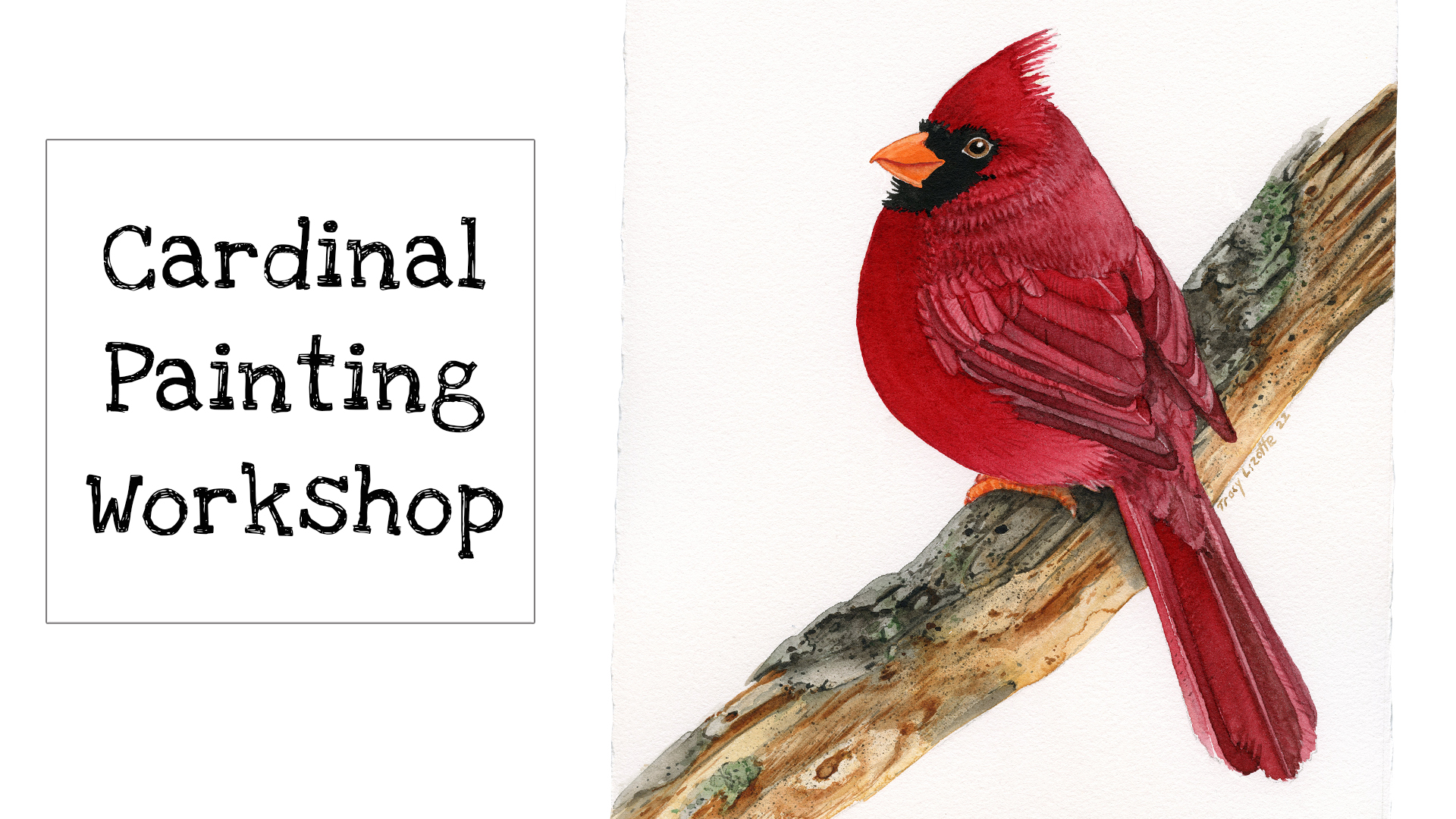 How to Paint a Red Cardinal with watercolors