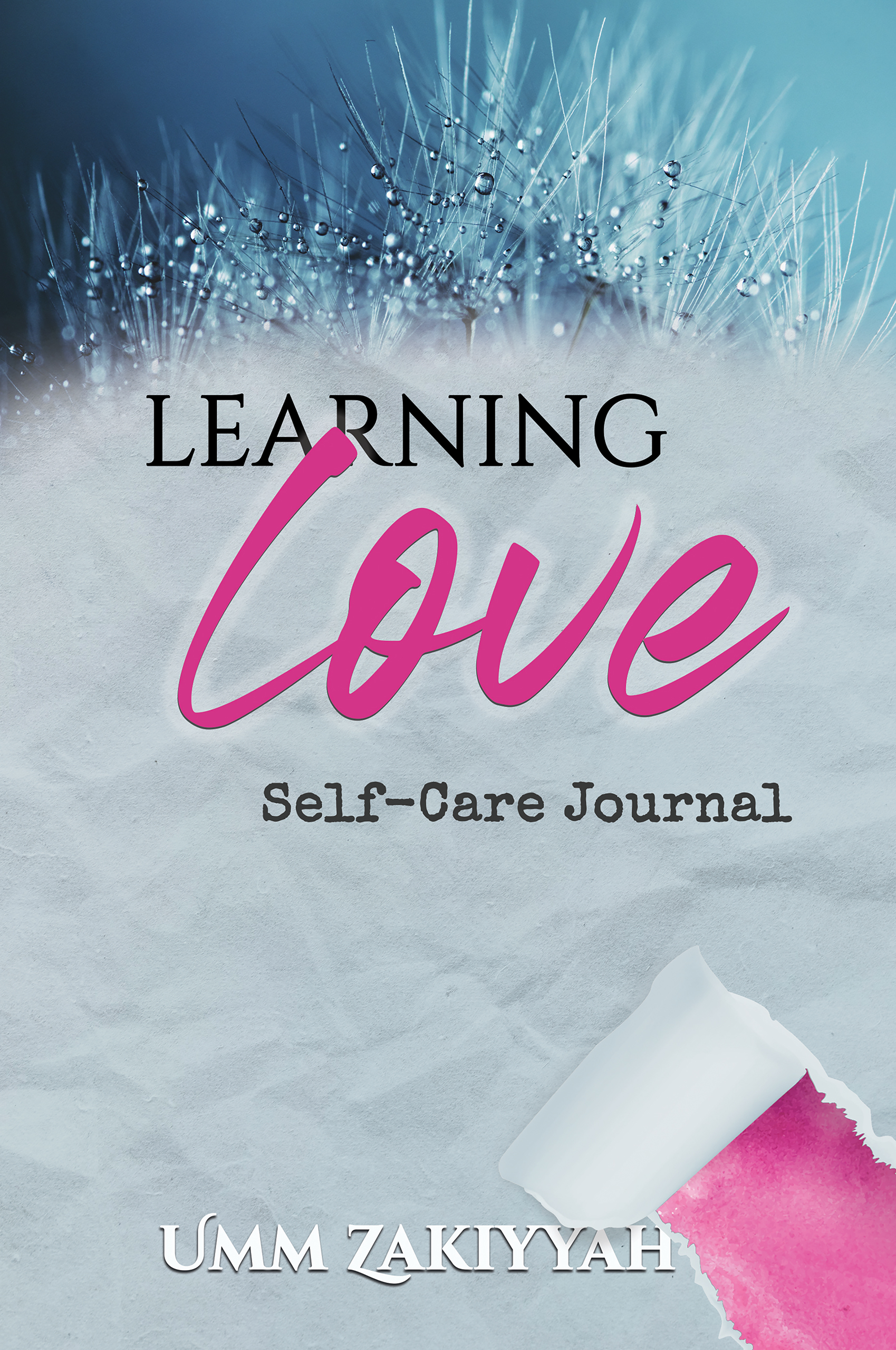 Front cover of Learning Love