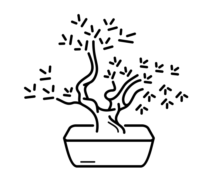 cursuri de desen