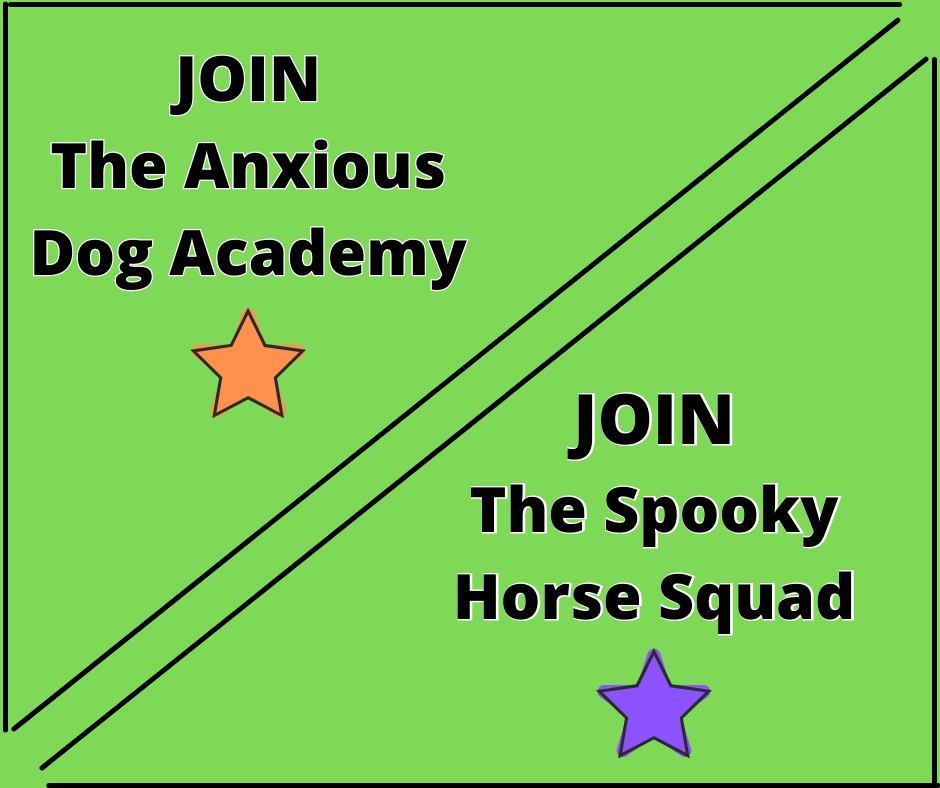 JOIN THE ANXIOUS DOG ACADEMY / THE SPOOKY HORSE SQUAD