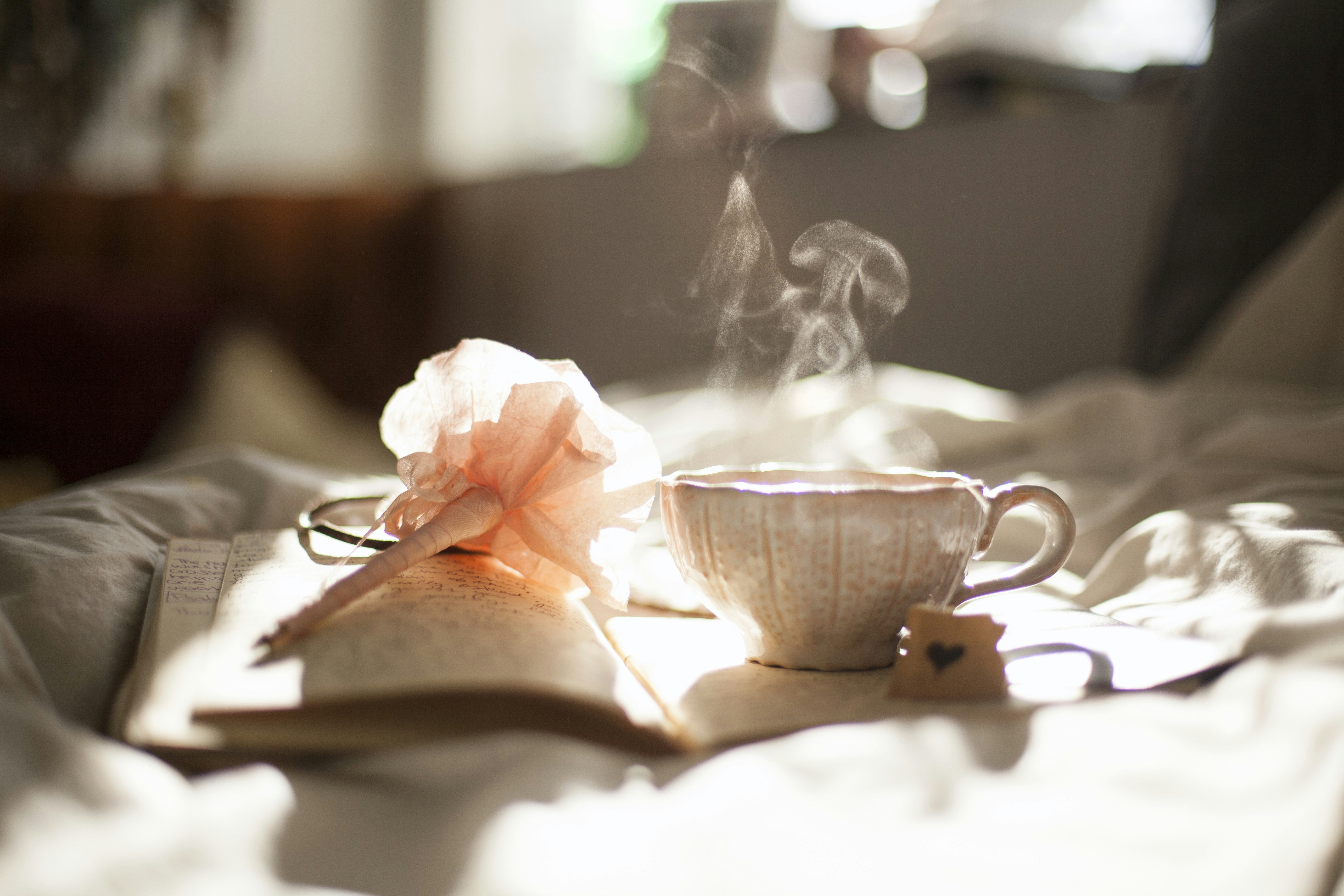 pink flower and tea